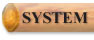 System