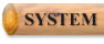 System